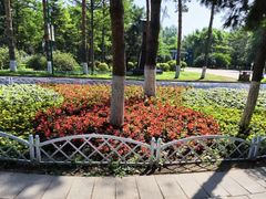 -黑龙江省森林植物园