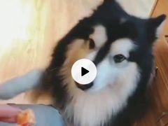 -白兔子密室(长寿路店)