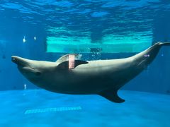 -泉城欧乐堡海洋极地世界