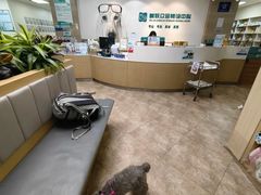 -美联众合动物医院·24h转诊中心