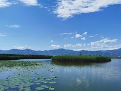 -野鸭湖国家湿地公园