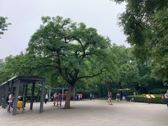 -玲珑塔公园