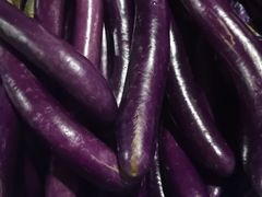 -活鲜水产品批发交易市场