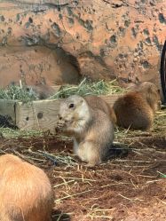 -Zoolung Zoolung动物主题公园(海信广场店)