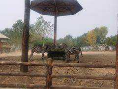 -大连森林动物园