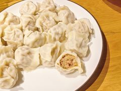 大葱鲜肉水饺-伊喜饺子·烤鸭(五道口学院路店)