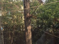 -Geneva日内瓦餐厅(西郊宝成花苑店)