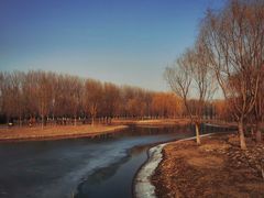 -东郊湿地公园