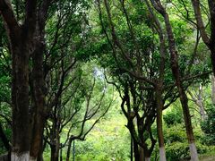 -燕晗山郊野公园