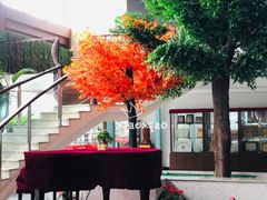 -上海市民办金苹果学校