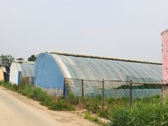 -万源龙顺度假庄园生态观光园