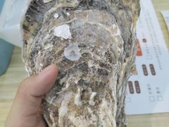 -一蚝一贝海鲜特色餐厅(万象城店)