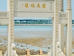 -宝安西湾红树林湿地公园