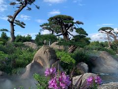 -罗红摄影艺术馆