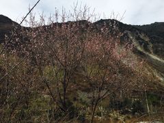 -孟屯河谷景区