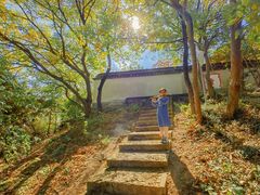 -上海佘山国家森林公园天马山园