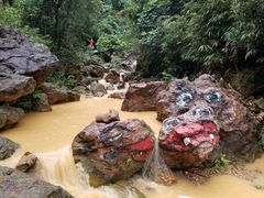 -南海湾森林生态园