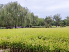 -北坞公园
