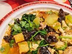 -文立新麻辣烫(合生汇21街区店)