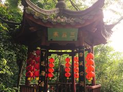 -杭州西湖风景名胜区-三生石