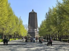 -玲珑塔公园