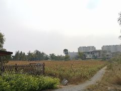 -田园东方蜜桃村的田野营地