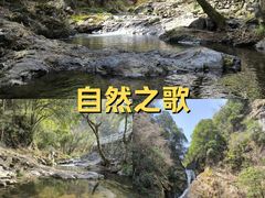 -石台牯牛降景区