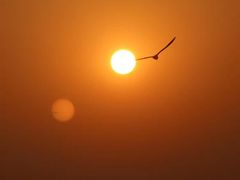 -呈贡滇池生态湿地公园