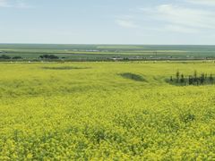 -扁都口生态休闲旅游区