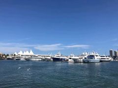 -黄金海岸