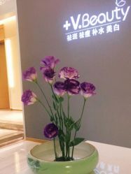 -苑苑vbeauty科技美容SPA