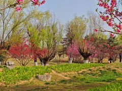 -汉长安城未央宫国家考古遗址公园