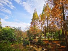 -宝界山林公园