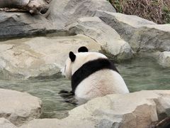 -宁波野生动物园