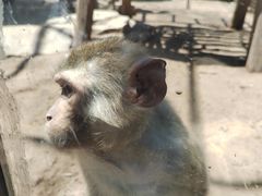 -石家庄市动物园