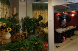 洗发区和室内装饰-美秀造型