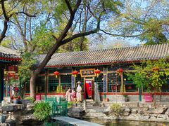 -白家大院·王府宫廷菜(苏州街店)