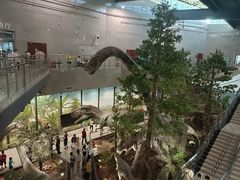 -湖南省地质博物馆