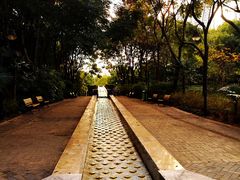 -苏州河梦清园环保主题公园