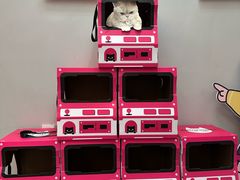 -静宜和她的朋友(星海广场店)