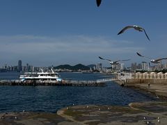 -星海广场
