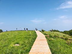 -白草畔自然风景区