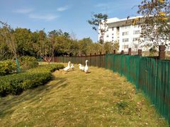 -南京中医药大学(仙林校区)