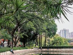 -晓港公园