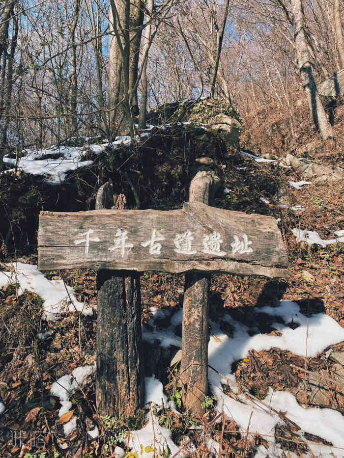 秦楚古道-"秦楚古道,是古代秦国通往楚国的一条驿道,.
