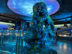 -陕西自然博物馆