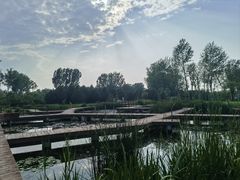 -东郊湿地公园