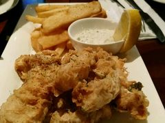 -Boxing Cat Brewery拳击猫精酿啤酒馆(永福店)