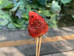-雪儿钱局泡菜