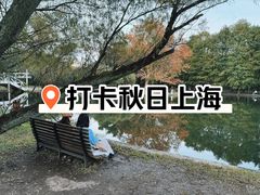 -上海共青森林公园